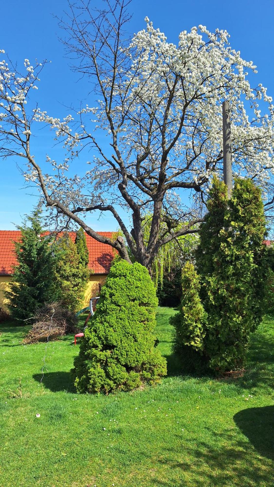 Prague Zbraslav Old Garden Appartement Buitenkant foto